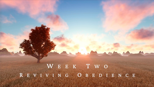 Godly Kings of Judah Week 2— Reviving Obedience